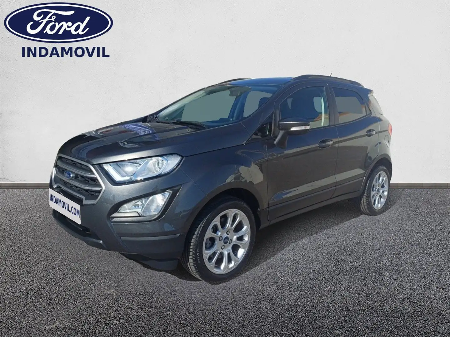 Ford EcoSport 1.0 EcoBoost Trend 100 Gris - 1
