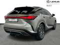 Lexus RX 450h RX450+ PHEV Executive Line Grey - thumbnail 17