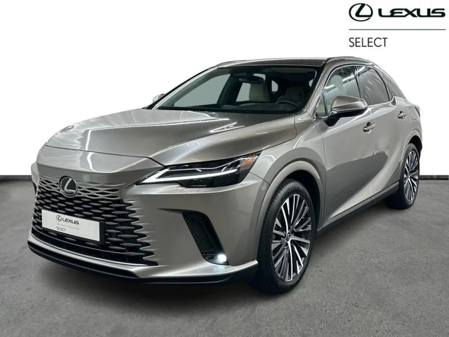 Lexus RX 450h RX450+ PHEV Executive Line Grey - 1