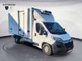 Citroen Jumper FURGONATO  CON FRIGO ONNICAR  L4 2.2. Blue Bianco - thumbnail 7