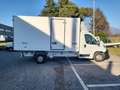 Citroen Jumper FURGONATO  CON FRIGO ONNICAR  L4 2.2. Blue Bianco - thumbnail 6