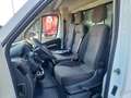 Citroen Jumper FURGONATO  CON FRIGO ONNICAR  L4 2.2. Blue Bianco - thumbnail 10