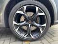 CUPRA Formentor VZ 2.0 TSI DSG *NAVI*LED*BEATS*KAMERA* Grau - thumbnail 7