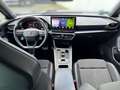 CUPRA Formentor VZ 2.0 TSI DSG *NAVI*LED*BEATS*KAMERA* Grau - thumbnail 10