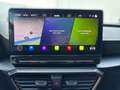CUPRA Formentor VZ 2.0 TSI DSG *NAVI*LED*BEATS*KAMERA* Grau - thumbnail 12