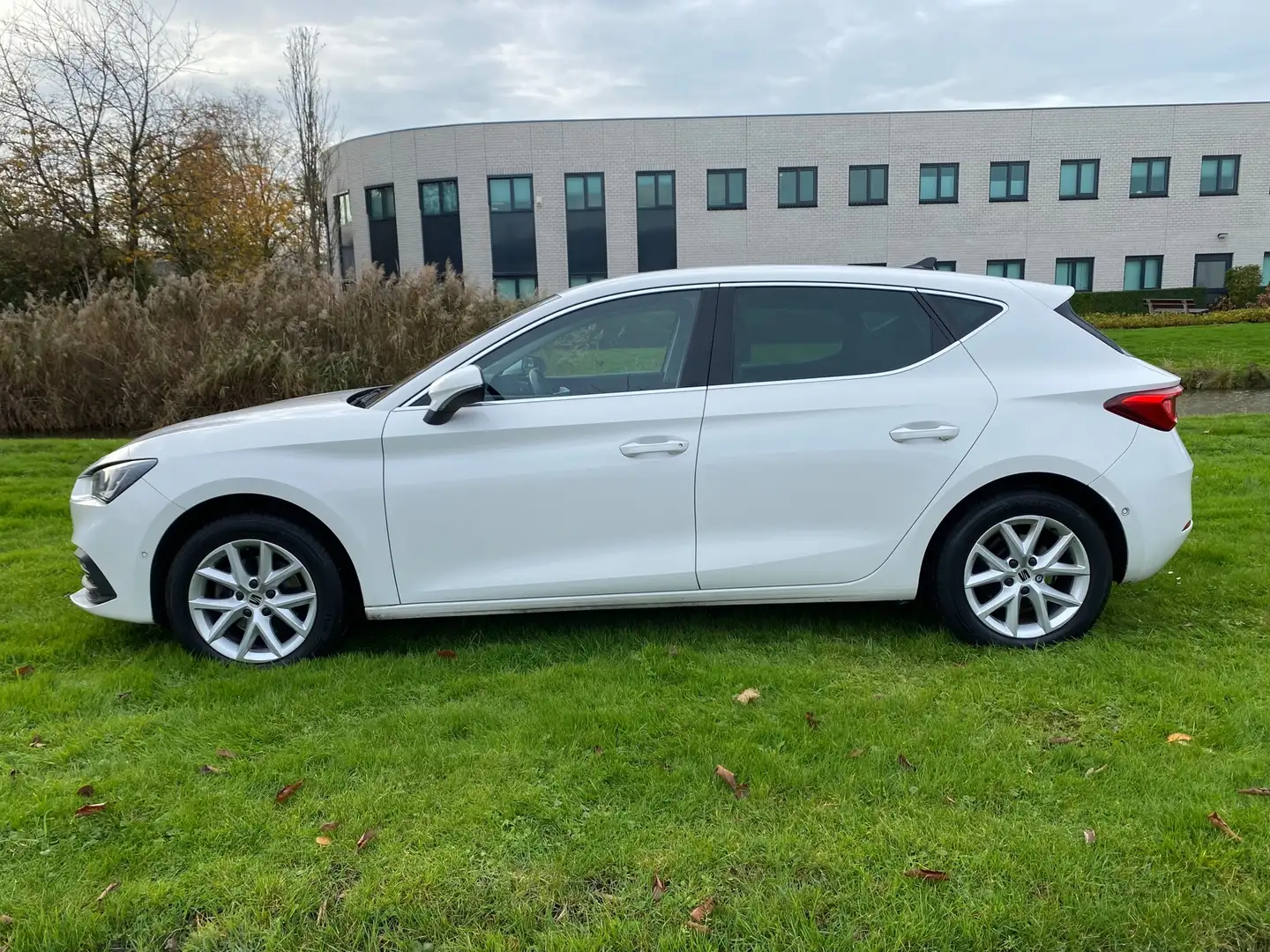 SEAT Leon 2020 * 1.5 eTSI Style Launch Edition * AUTOMAAT * Weiß - 2