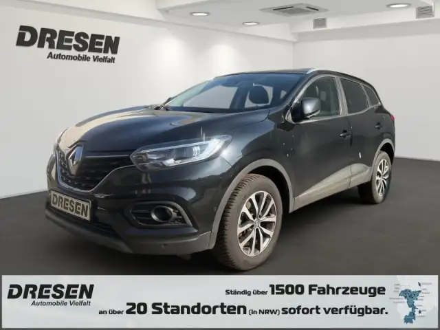 Renault Kadjar Zen ZEN Mehrzonenklima DAB Ambientebeleuchtung SHZ