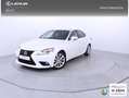 Lexus IS 300 300h Executive Weiß - thumbnail 1