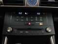 Lexus IS 300 300h Executive Weiß - thumbnail 20