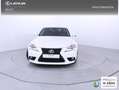 Lexus IS 300 300h Executive Weiß - thumbnail 5