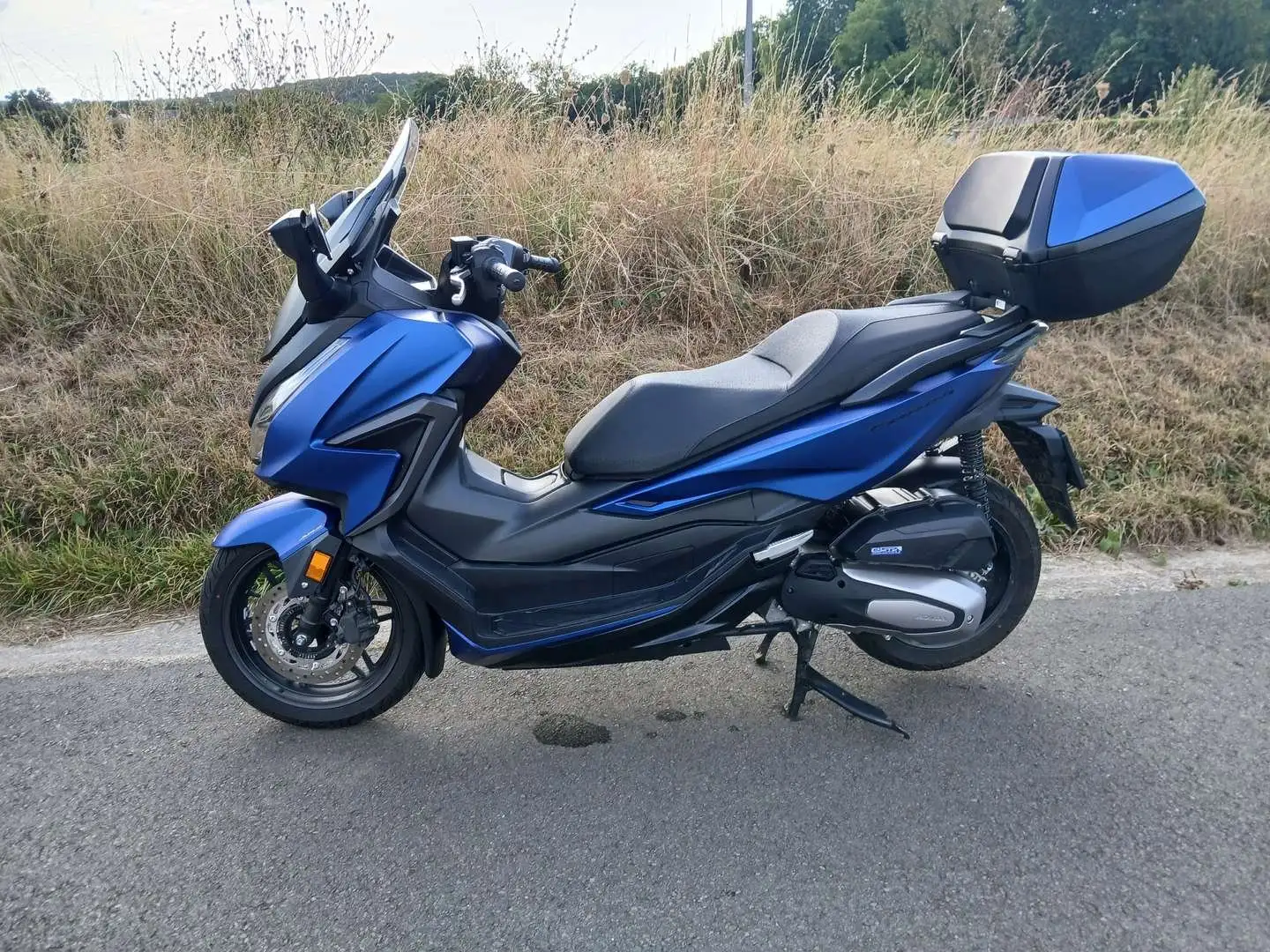 Honda Forza 125 Bleu - 1