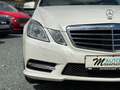Mercedes-Benz E 500 E 550 V8 BiTurbo AMG PANO LEDER NAVI H&K TOP! Blanco - thumbnail 19