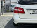 Mercedes-Benz E 500 E 550 V8 BiTurbo AMG PANO LEDER NAVI H&K TOP! Blanco - thumbnail 17