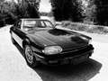 Jaguar XJS - thumbnail 4