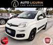Fiat Panda Panda 1.2 Easy VEDI FOTO Bianco - thumbnail 1