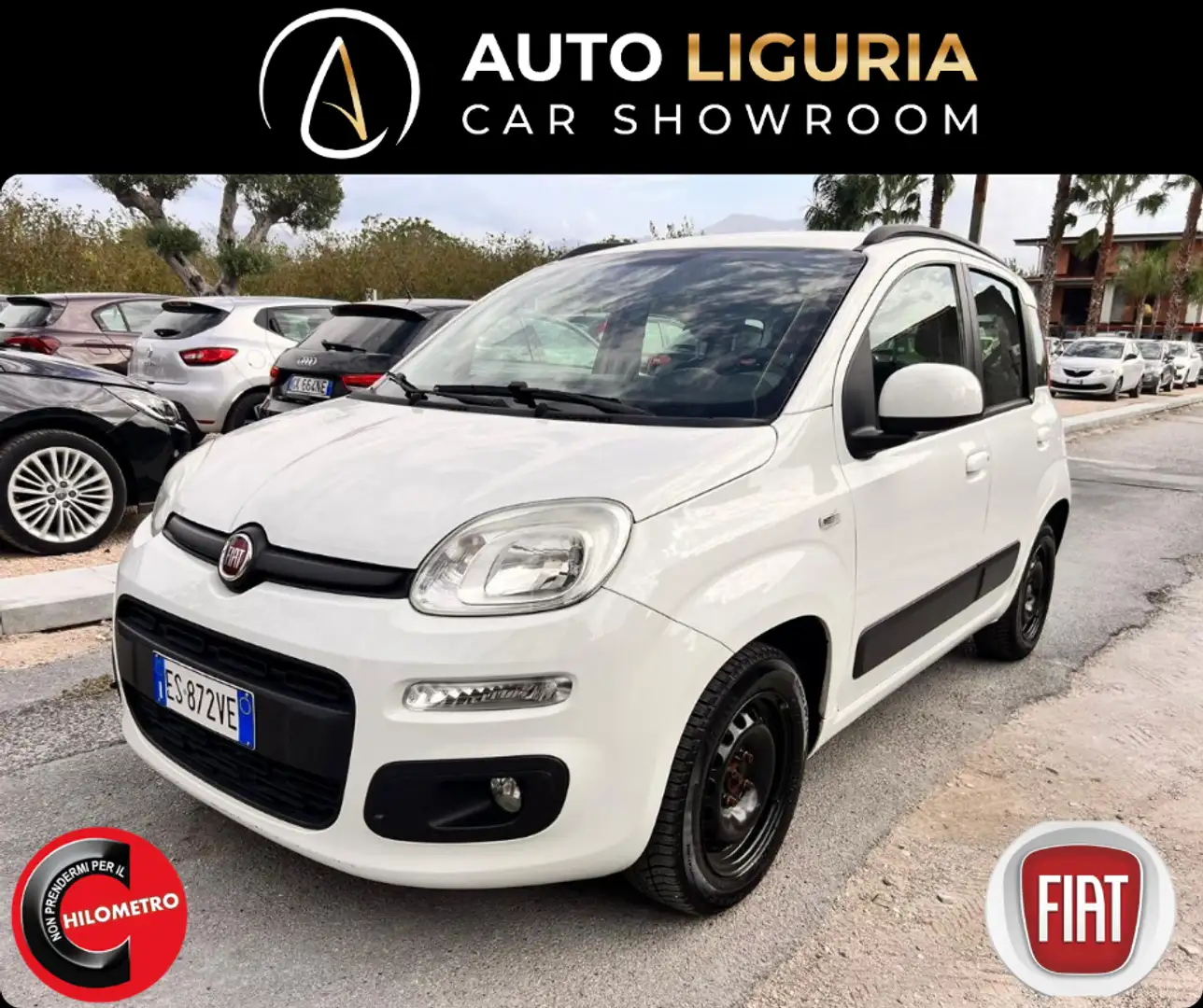 Fiat Panda Panda 1.2 Easy VEDI FOTO Bianco - 1