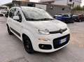 Fiat Panda Panda 1.2 Easy VEDI FOTO Bianco - thumbnail 3