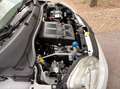 Fiat Panda Panda 1.2 Easy VEDI FOTO Bianco - thumbnail 8