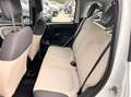 Fiat Panda Panda 1.2 Easy VEDI FOTO Bianco - thumbnail 11