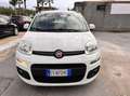 Fiat Panda Panda 1.2 Easy VEDI FOTO Bianco - thumbnail 2