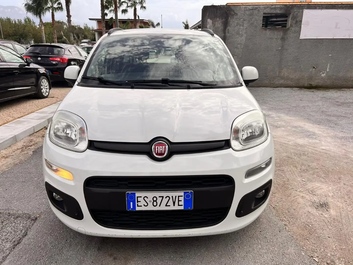 Fiat Panda Panda 1.2 Easy VEDI FOTO Bianco - 2