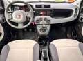 Fiat Panda Panda 1.2 Easy VEDI FOTO Bianco - thumbnail 10