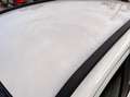 Fiat Panda Panda 1.2 Easy VEDI FOTO Bianco - thumbnail 6