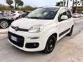 Fiat Panda Panda 1.2 Easy VEDI FOTO Bianco - thumbnail 12
