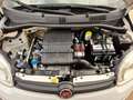 Fiat Panda Panda 1.2 Easy VEDI FOTO Bianco - thumbnail 9