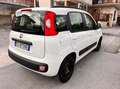Fiat Panda Panda 1.2 Easy VEDI FOTO Bianco - thumbnail 15