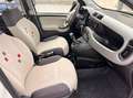 Fiat Panda Panda 1.2 Easy VEDI FOTO Bianco - thumbnail 14