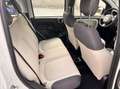 Fiat Panda Panda 1.2 Easy VEDI FOTO Bianco - thumbnail 13