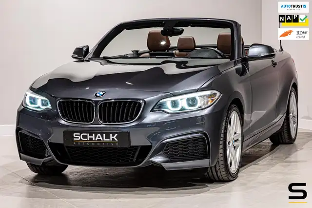BMW 218 2-serie Cabrio 218i High Executive|NAP|Leder|Deale