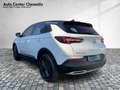 Opel Grandland 1.2 120 Jahre AHK/Navi/SHZ/LHZ/PDC Wit - thumbnail 2