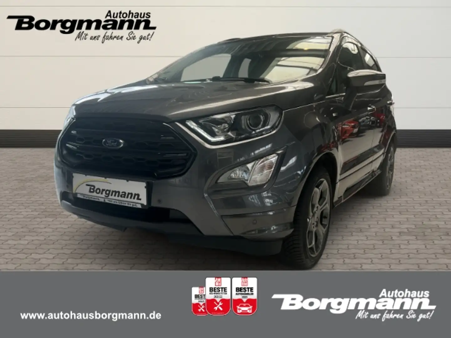 Ford EcoSport ST-Line 1.0 EcoBoost EU6d 2012.75(05 2012-) AHK-ab Grijs - 1