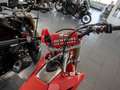 Honda CRF 250 Motocross 77 Betriebs Stunden Roşu - thumbnail 3