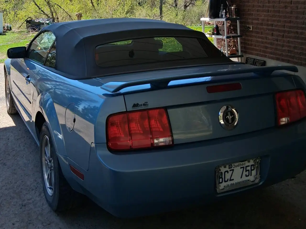 Ford Mustang снимка Ford Mustang