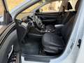 Hyundai TUCSON 1.6 CRDI 48V Maxx Safe 4x2 Blanco - thumbnail 13