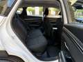 Hyundai TUCSON 1.6 CRDI 48V Maxx Safe 4x2 Blanco - thumbnail 15