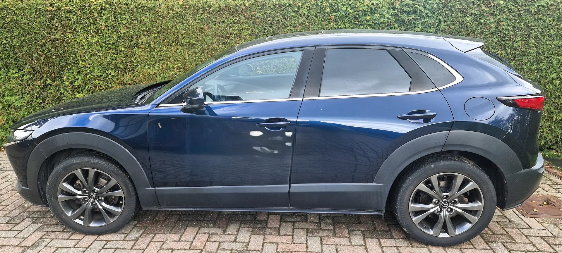 Mazda CX-30 CX-30 2.0i SKYACTIV-X MHE AWD Skycruise Bleu - 2