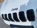 Jeep Cherokee Cherokee V 2.2mjt II Night Eagle 4wd active drive Bianco - thumbnail 13