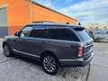 Land Rover Range Rover Range Rover 3.0 TDV6 Vogue Grau - thumbnail 6