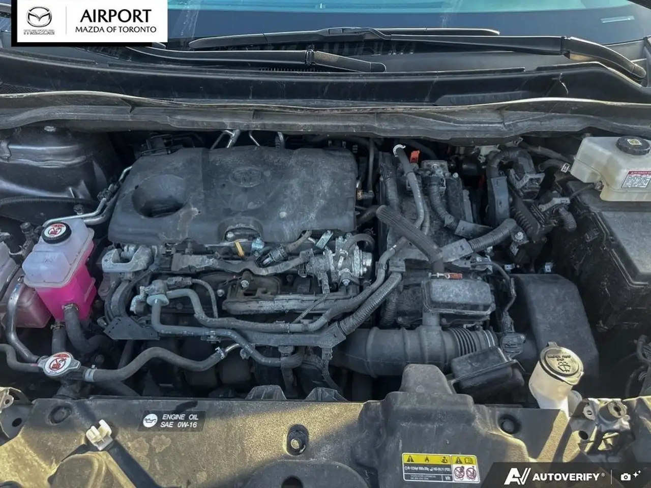Toyota Sienna снимка Toyota Sienna