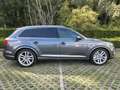 Audi Q7 e-tron 3.0 TDI S-Line Grau - thumbnail 8