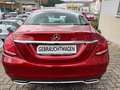 Mercedes-Benz C 200 C200 Avantgarde Lim. LED+NAVI+AHK+Teil-LEDER Rouge - thumbnail 5