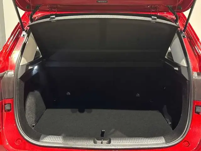 MG ZS view 7