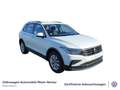 Volkswagen Tiguan 1.5 TSI Life DSG GAR 2029 Navi PDC LED uv Weiß - thumbnail 3