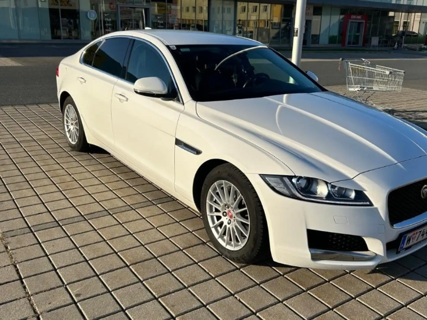 Jaguar XF 20d Aut. Pure Weiß - 1