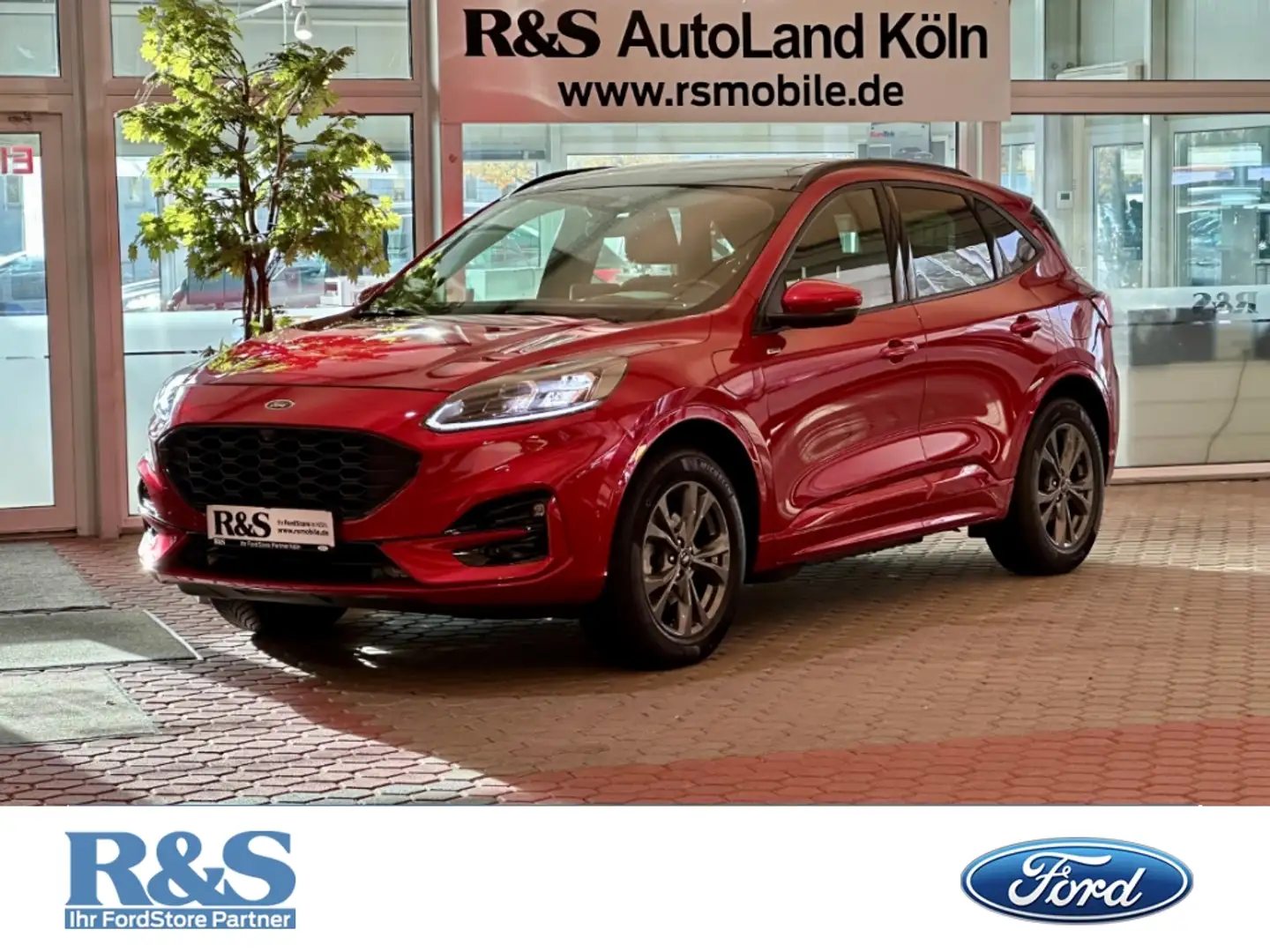 Ford Kuga ST-Line X+Automatik+Pano+AHK+B&O+Key-Free Rojo - 1