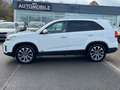 Kia Sorento 4WD Pano Navi Leder Ahk kamer Xenon Weiß - thumbnail 7